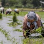 antarafoto pemerintahan prabowo gibran jamin ketersediaan pupuk bagi petani 171024 mm 3_ratio 16x9 1
