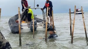 kkp_bongkar_pagar_laut_di_tangerang shDz_large