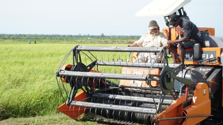 202411032212-main.cropped_1730646800