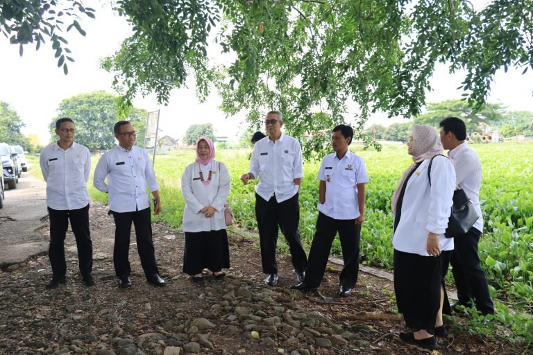 WhatsApp-Image-2025-03-19-at-13.50.20-768x512