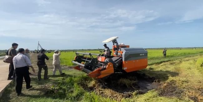presiden-ri-prabowo-subianto-tinjau-lumbung-pangan-nasional-di-kabupaten-merauke-papua-selatan-tangkapan-layar-video