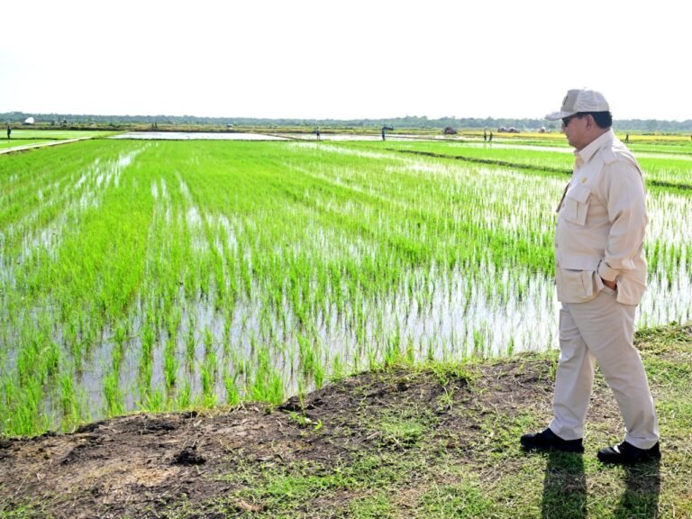 20241203_-_Dukung_Swasembada_Pangan_Bapanas_Perkuat_Stok_Cadangan_Pangan_Pemerintah