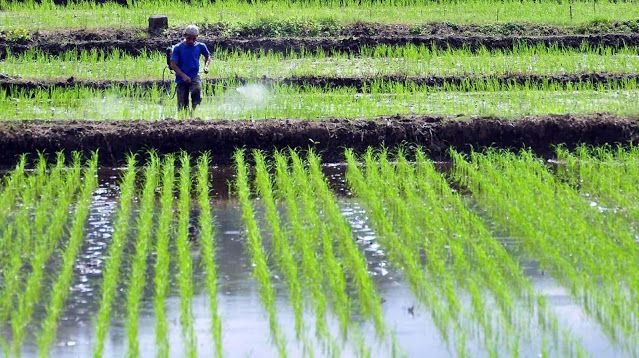 37686008e6f8f3a720f6c206fc81d6a3