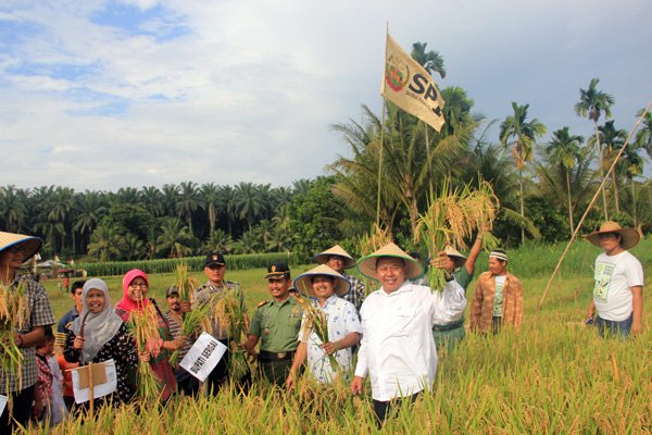 Bupati-Serdang-Bedagai-Soekirman-Ketua-Umum-SPI-Henry-Saragih-Ketua-SPI-Sumatera-Utara-Zubaidah-melakukan-panen-raya-padi-pamah