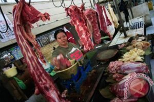 20140625Konsumsi-Protein-Kelas-Menengah-250614-HN-1-300x200