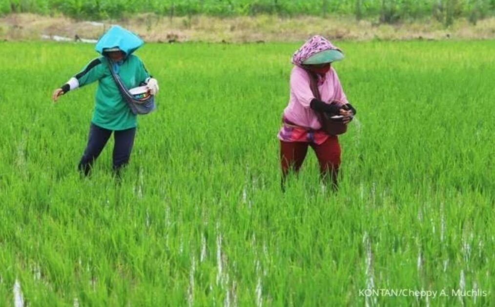 Screenshot_20250225_222140_Chrome