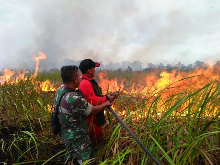 apiiiiii-fc708f1f-1ef1-426b-9808-0dd9cbe5ecfc-768x576