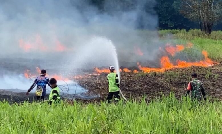 karhutla-tim-780x470