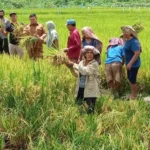 1000162548-1024x461-1