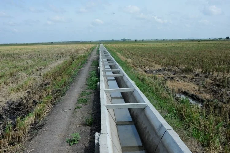 berita_1757600196