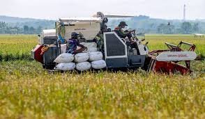 images-2025-09-17T102051.267