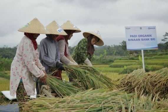 umkm-dan-petani-merasakan-manfaat-pembiayaan-ultra-mikro-umi-edud