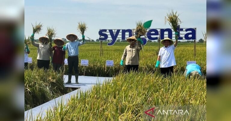 image_bank_2025_10_04_220050.114-tahukah-anda-bappenas-dorong-petani-milenial-gunakan-drone-untuk-swasembada-pangan-modern-1