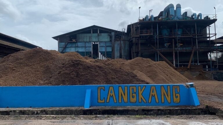 1762774896570-zipe3i