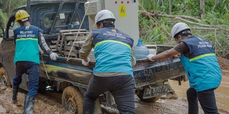 newsCover_2024_10_22_1729556320082-9lx6d