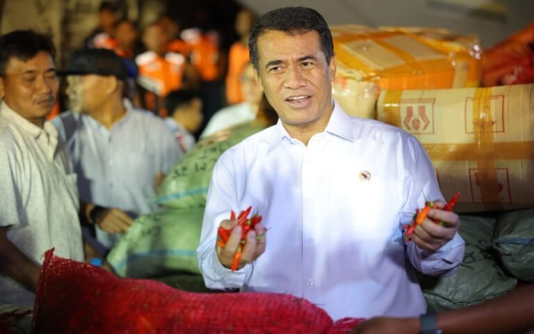 Menteri-Pertanian-Andi-Amran-Sulaiman-harga-cabai-jelang-nataru