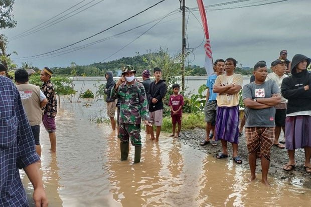 ratusan-hektar-sawah-di-luwu-terancam-gagal-panen-usai-diterjang-banjir-wfy