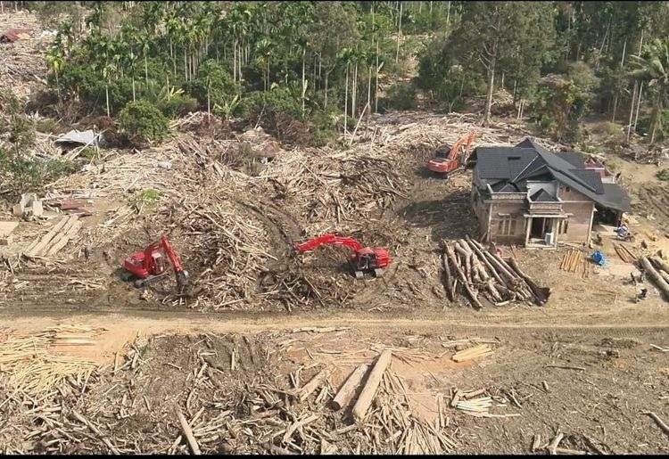 1767924081_73fe5d2966bafd2d2495