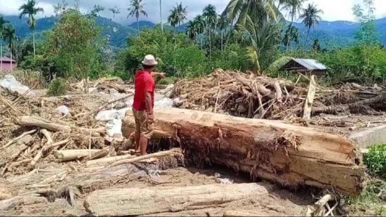 6567c5abc6769-gelondongan-kayu-belum-dibersihkan-pemerintah-setempat_1265_711