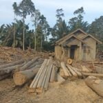 WhatsApp-Image-2026-01-05-at-18.26.00