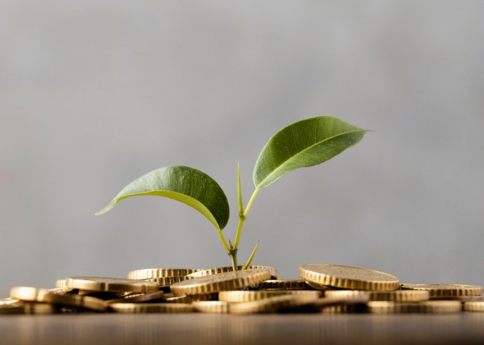 ekonomi-digital-di-indonesia