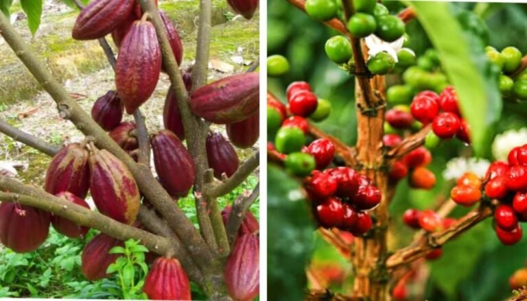 IMG_20211121_192957-1024x585-1