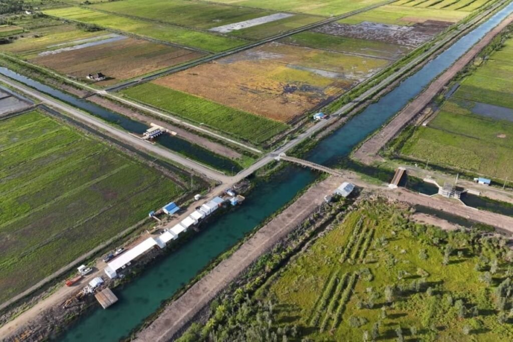 WhatsApp-Image-2024-11-12-at-07.09.05