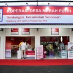 WhatsApp_Image_2025-07-22_at_08_23_06