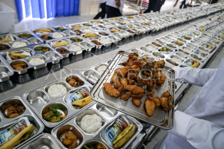distribusi-program-makan-bergizi-gratis-1frpq-dom