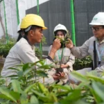 full_1772694406195514_38a482bab4_berita_palu