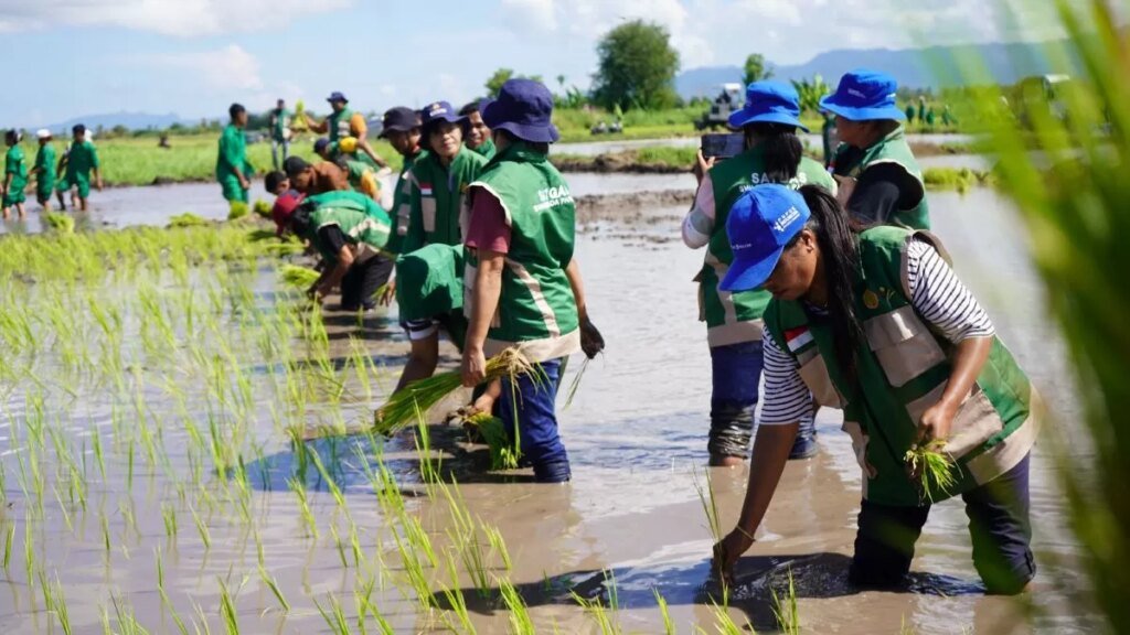 Gerakan-Tanam-Serentak-Nasional-di-Lahan-Cetak-Sawah-Rakyat-CSR-Desa-Manusak-Kabupaten-Kupang-Timur-NTT-4-3940490769