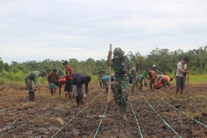 ketahanan-pangan-di-papua-696x464