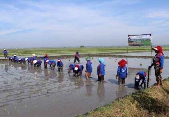 pusat_34f9994f-e3d5-4b26-978b-83bac6d6a69a_news