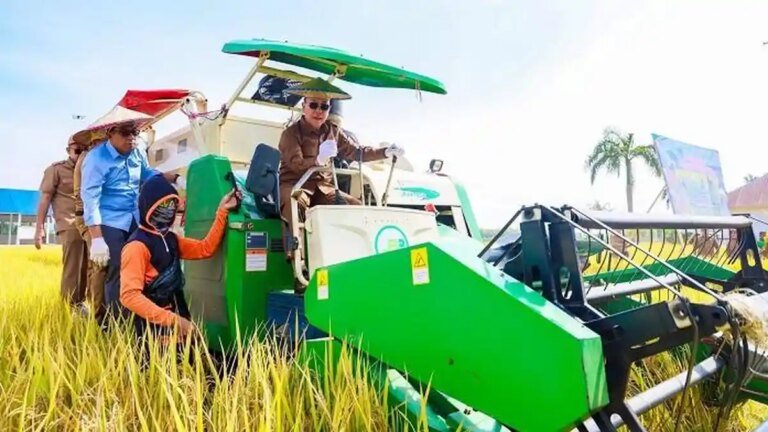 24700-Hektare-Sawah-Baru-Akan-Dibuka-di-Sulawesi-Tenggara-Tahun-Ini-Tersebar-16-Kabupaten-dan-Kota