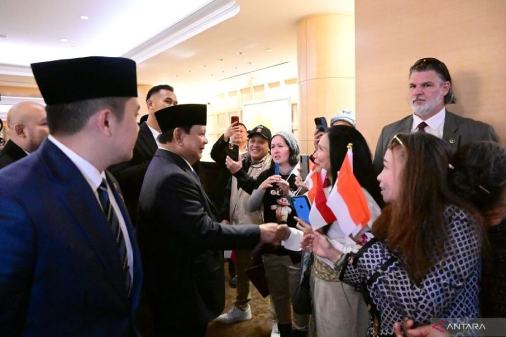 IMG-20241111-WA0001
