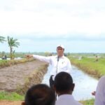 mentan_amran_lumbung_pangan_merauke__1