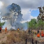 tim-gabungan-korem-174-berhasil-padamkan-karhutla-kebon-coklat_20201023_141013