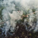berita_1789019718