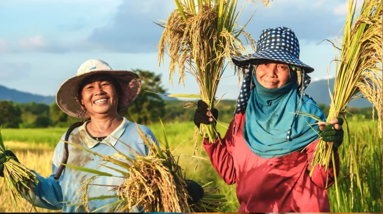 full_1789557709455634_a46ece07fc_berita_bengkulu